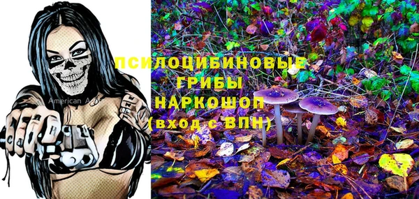 гашик Алзамай