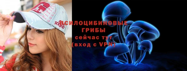 гашик Алзамай