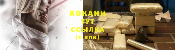гашик Алзамай