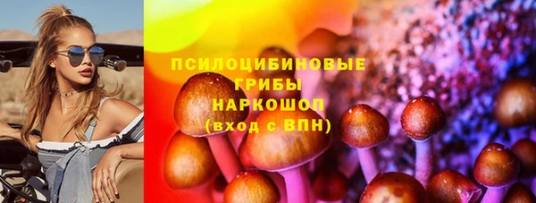 гашик Алзамай
